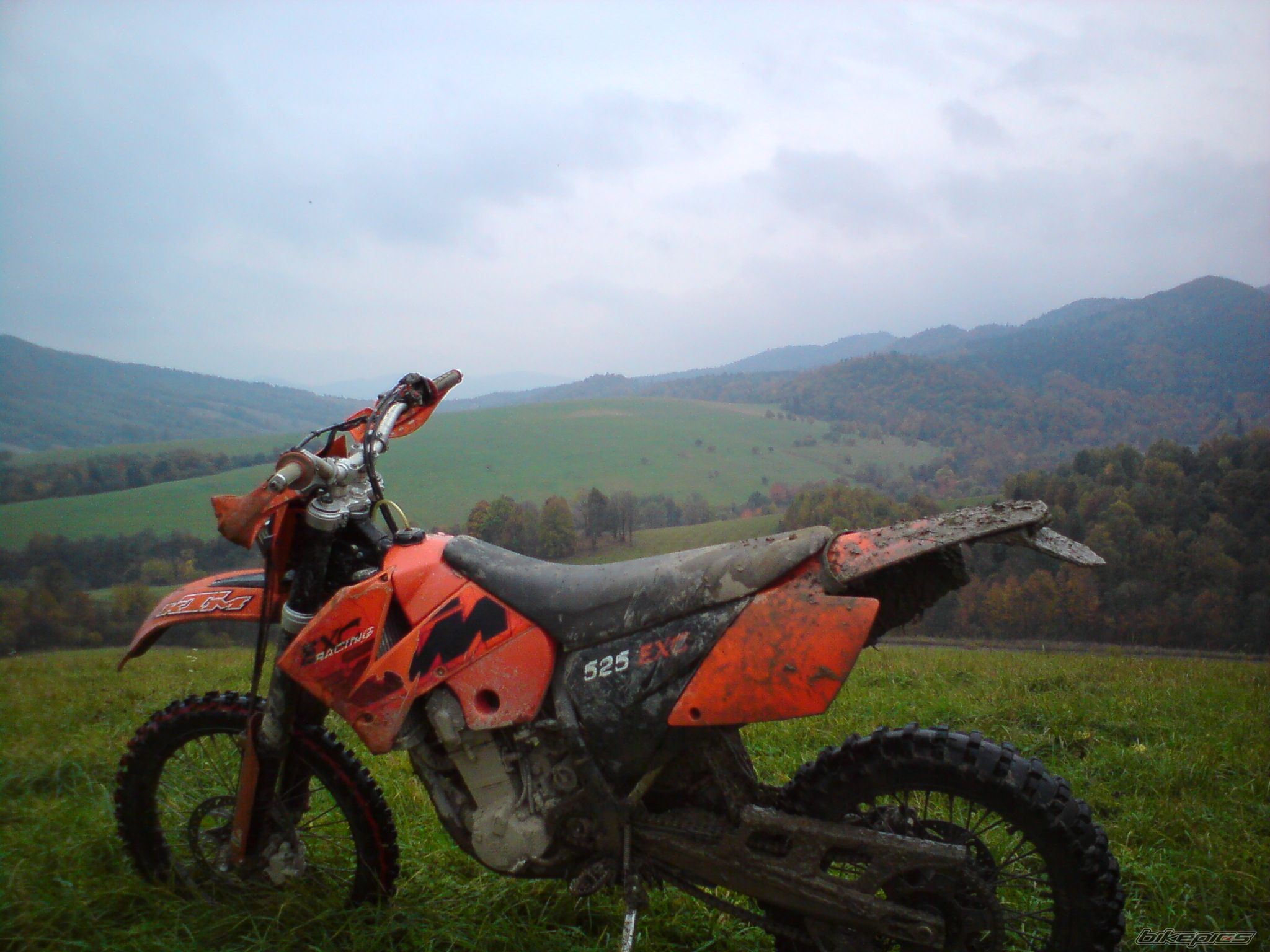 Photo 1873212