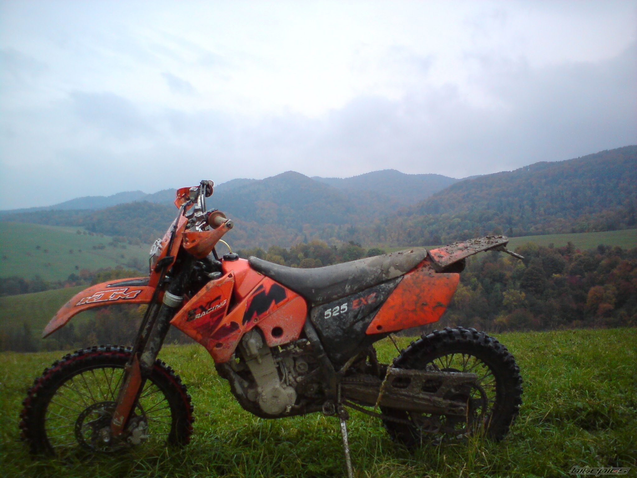 Photo 1873213