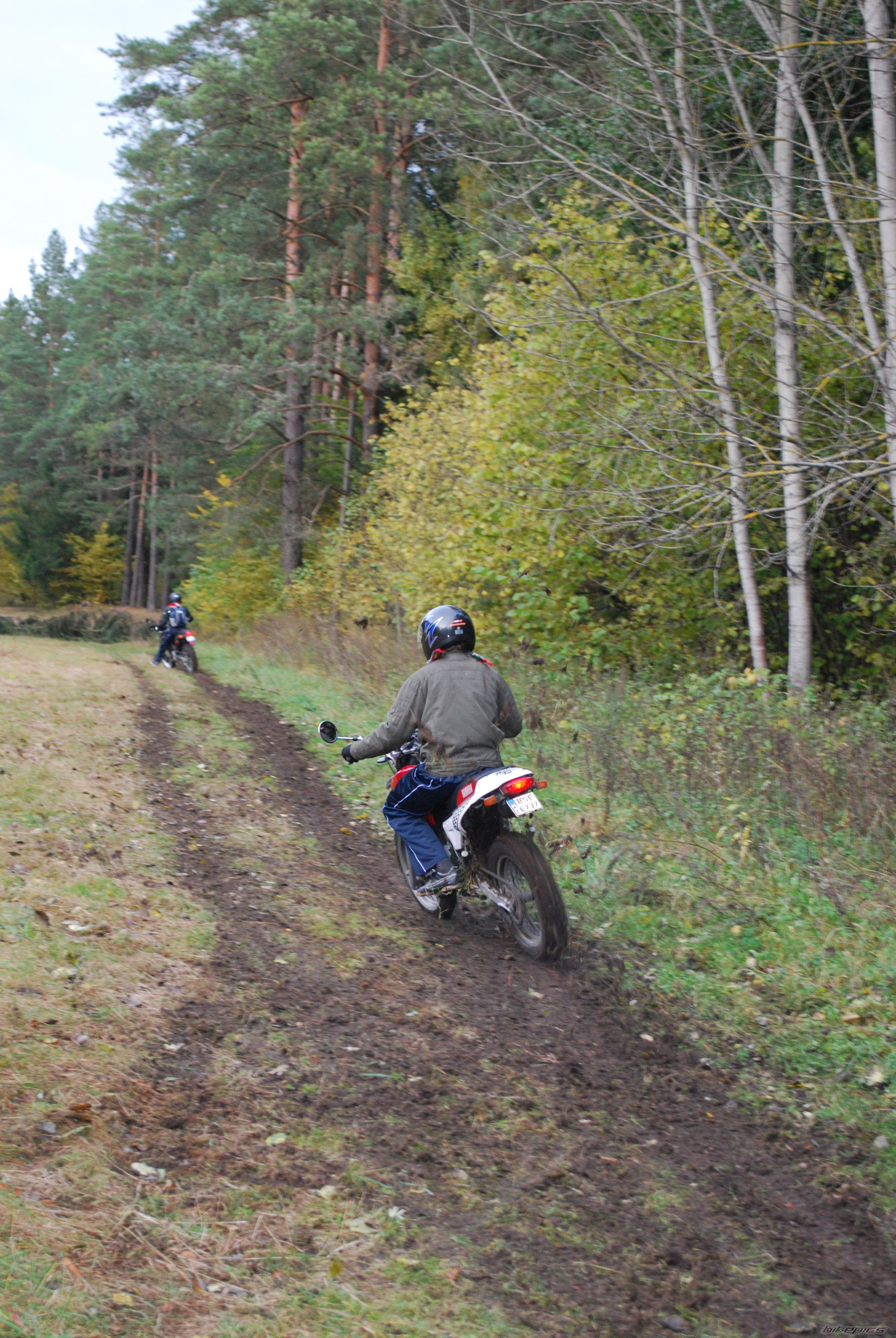 Photo 1873221