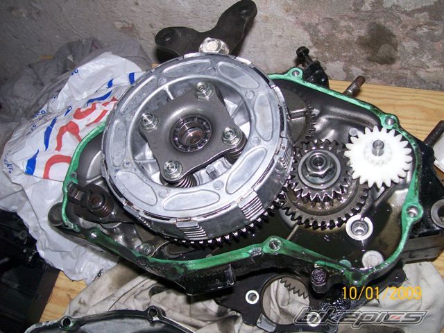 Photo 1873223