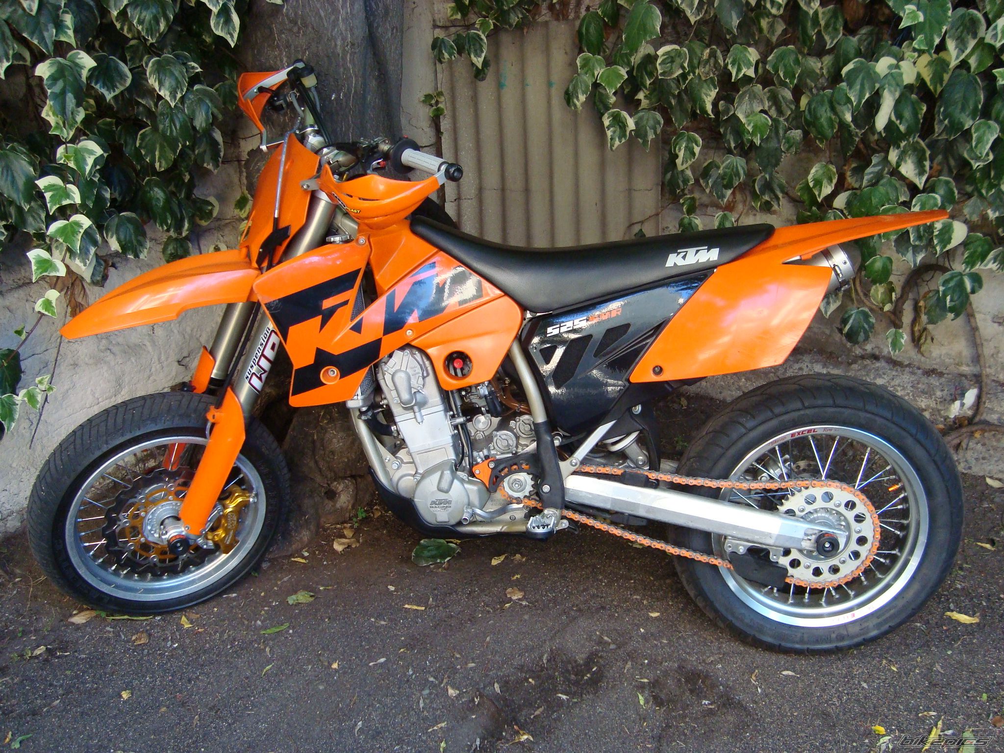 Photo 1873263