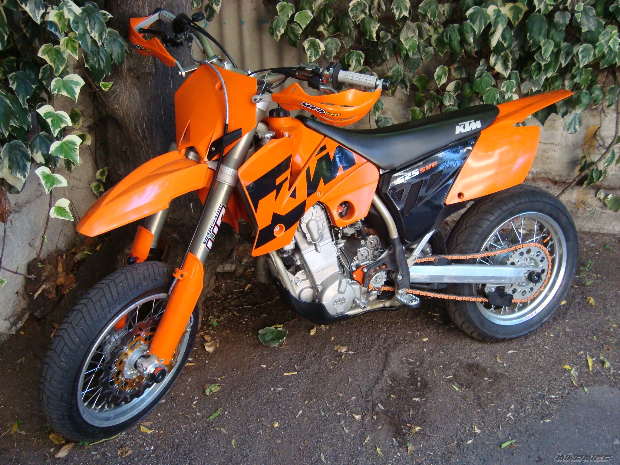 Photo 1873264