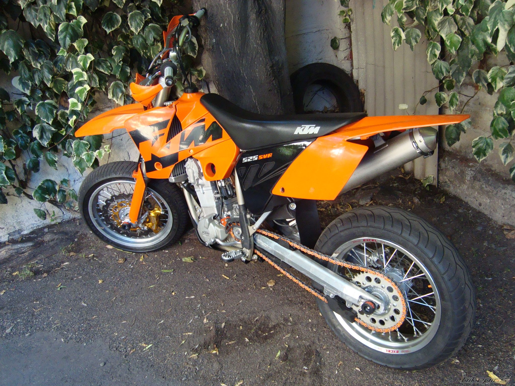 Photo 1873265