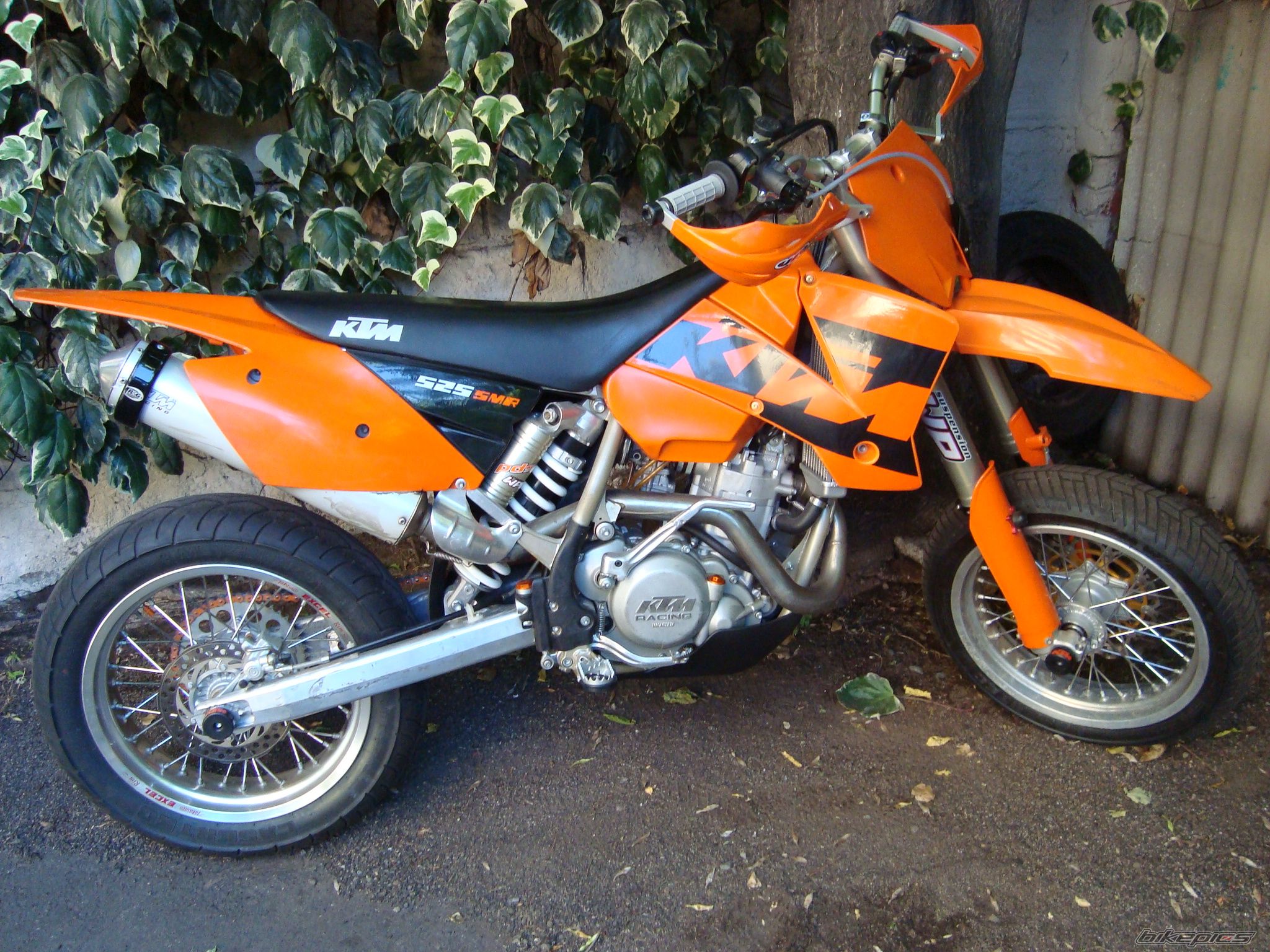 Photo 1873266