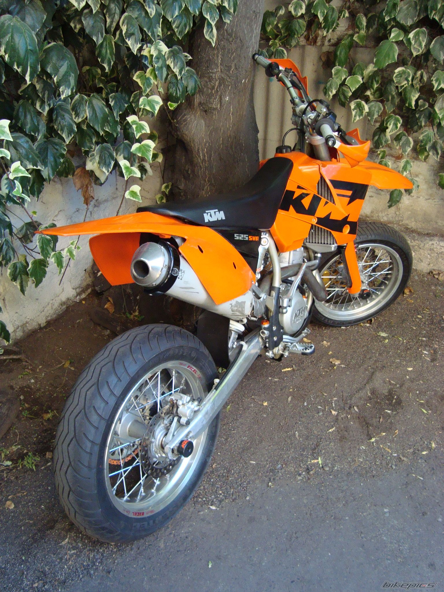 Photo 1873267