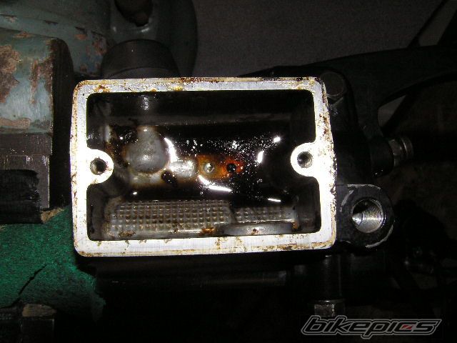 Photo 1873421