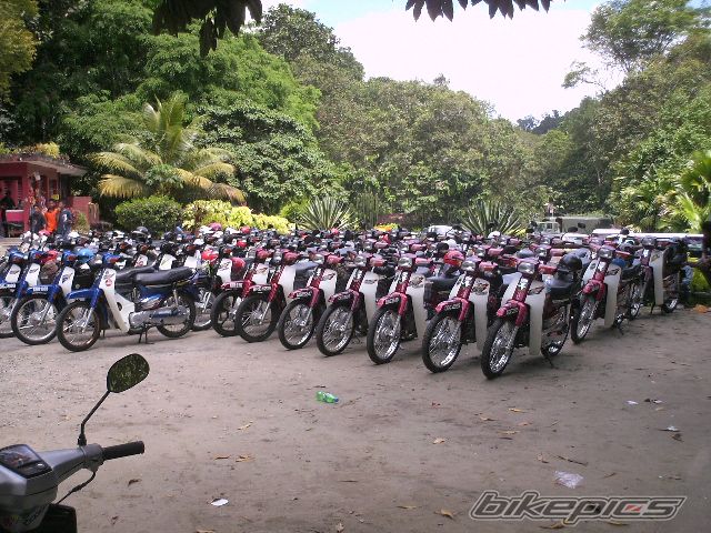 Photo 1873480