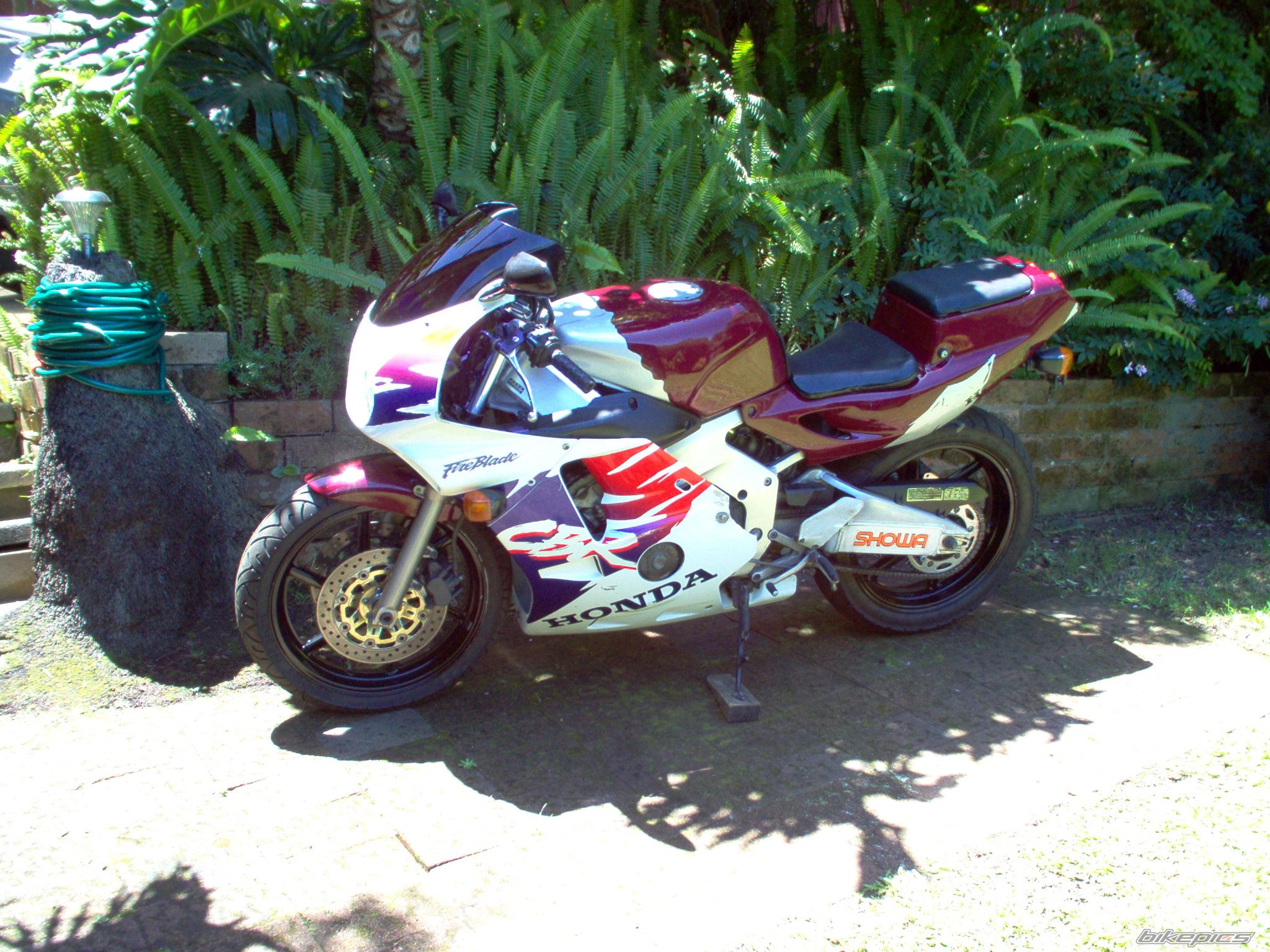 Photo 1873526
