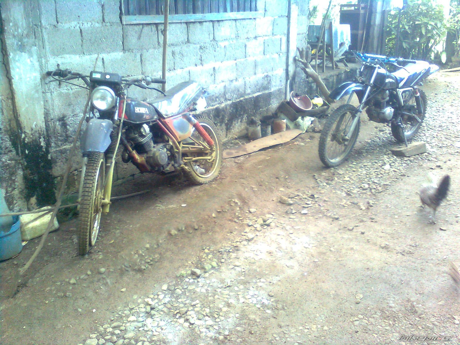Photo 1873584