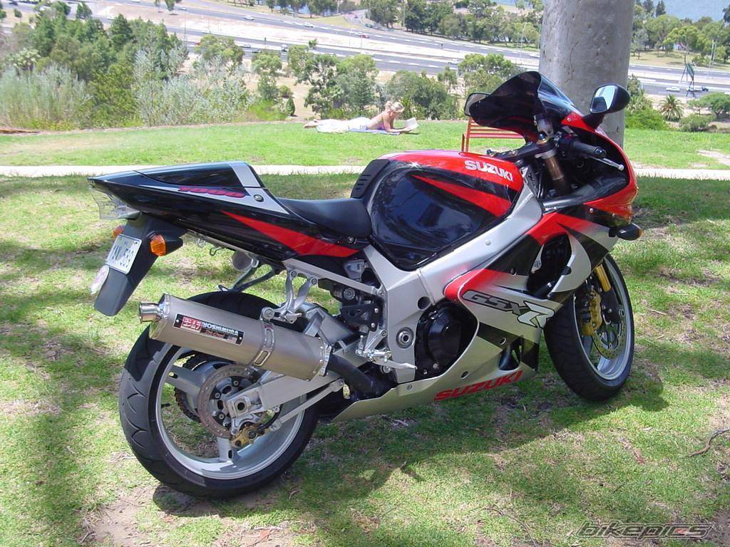 Photo 18737