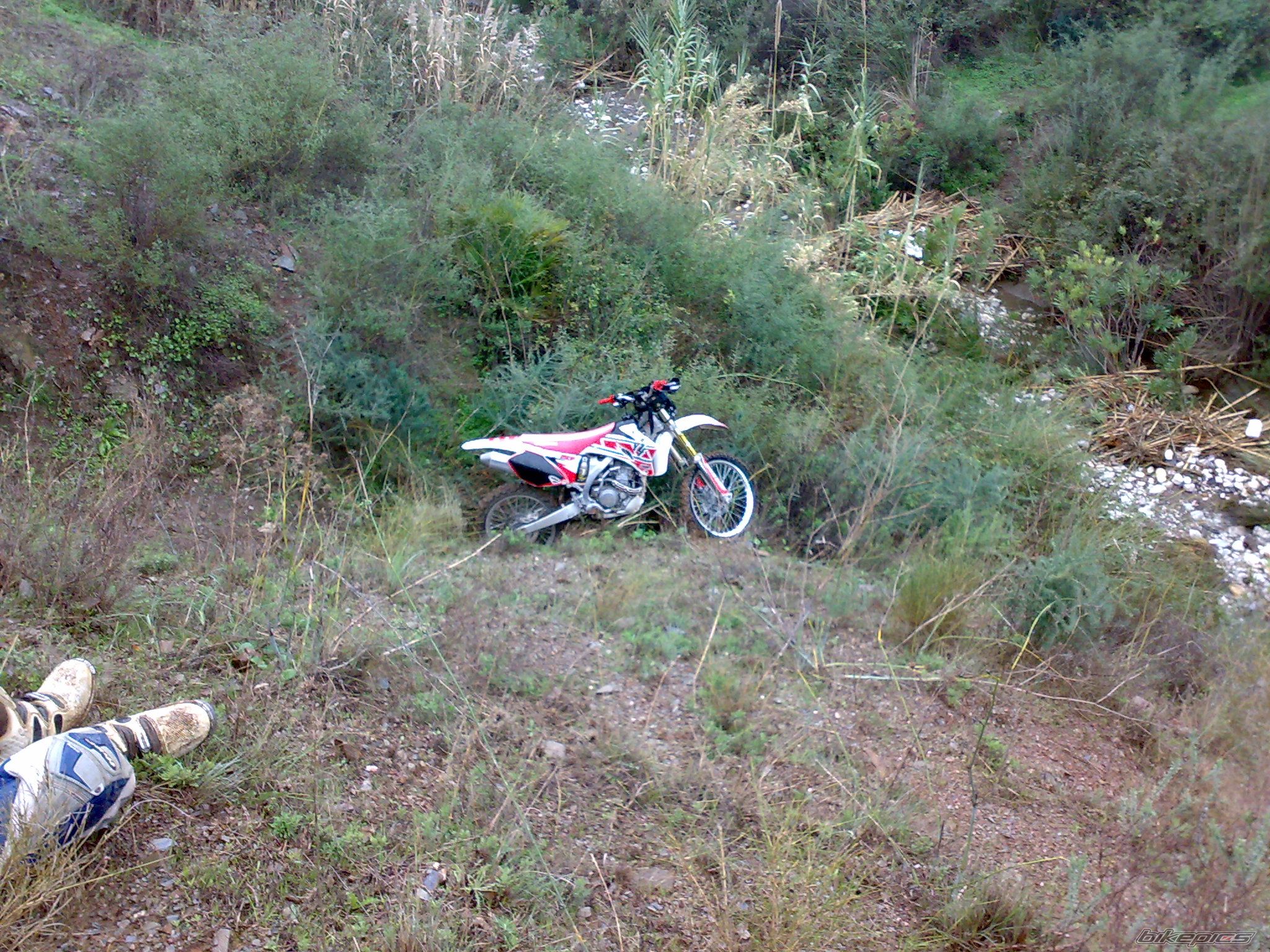 Photo 1873708