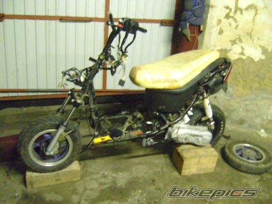 Bike Photo 1873831