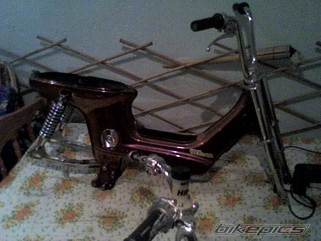 Photo 1873882