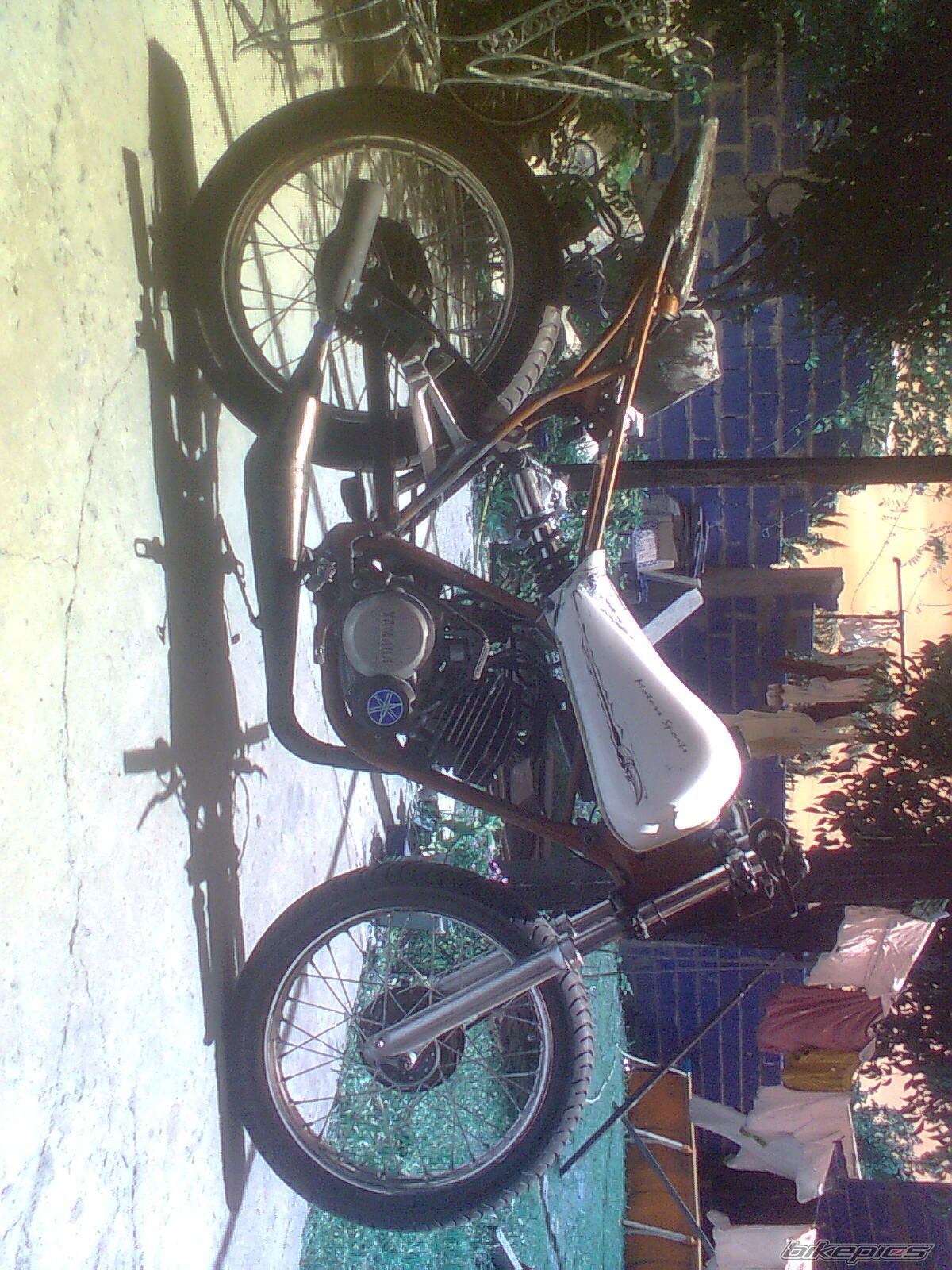 Photo 1873936