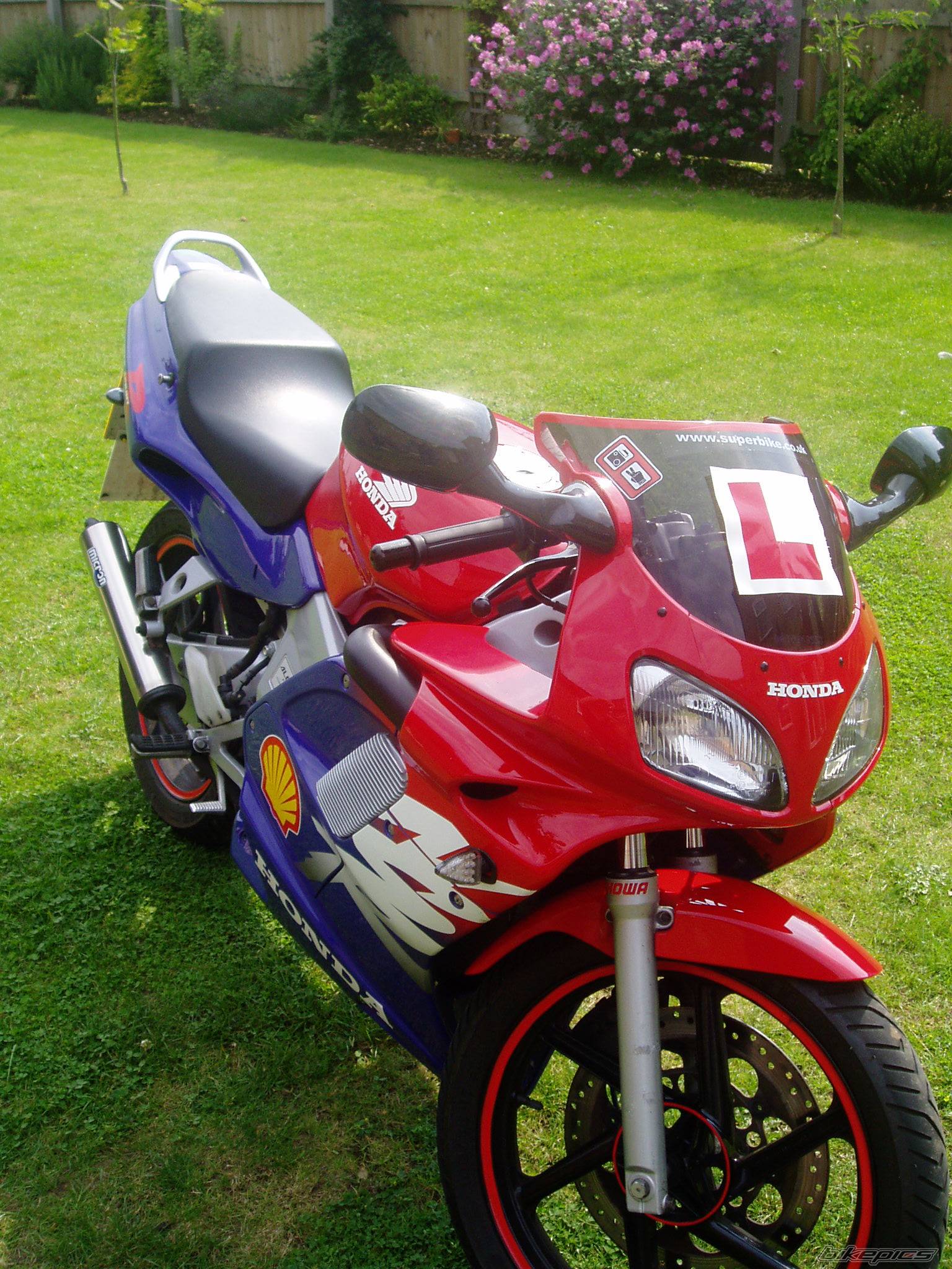 Photo 187401