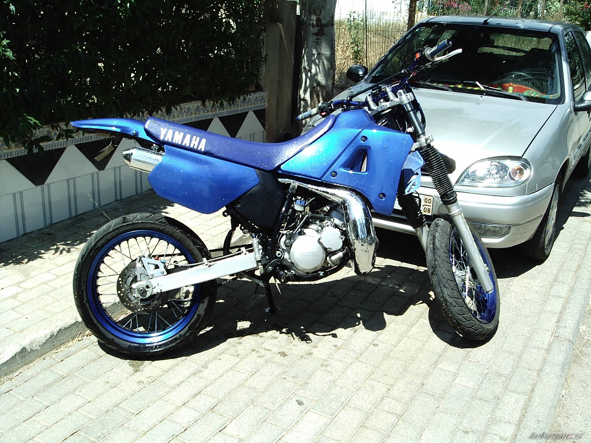 Photo 187403