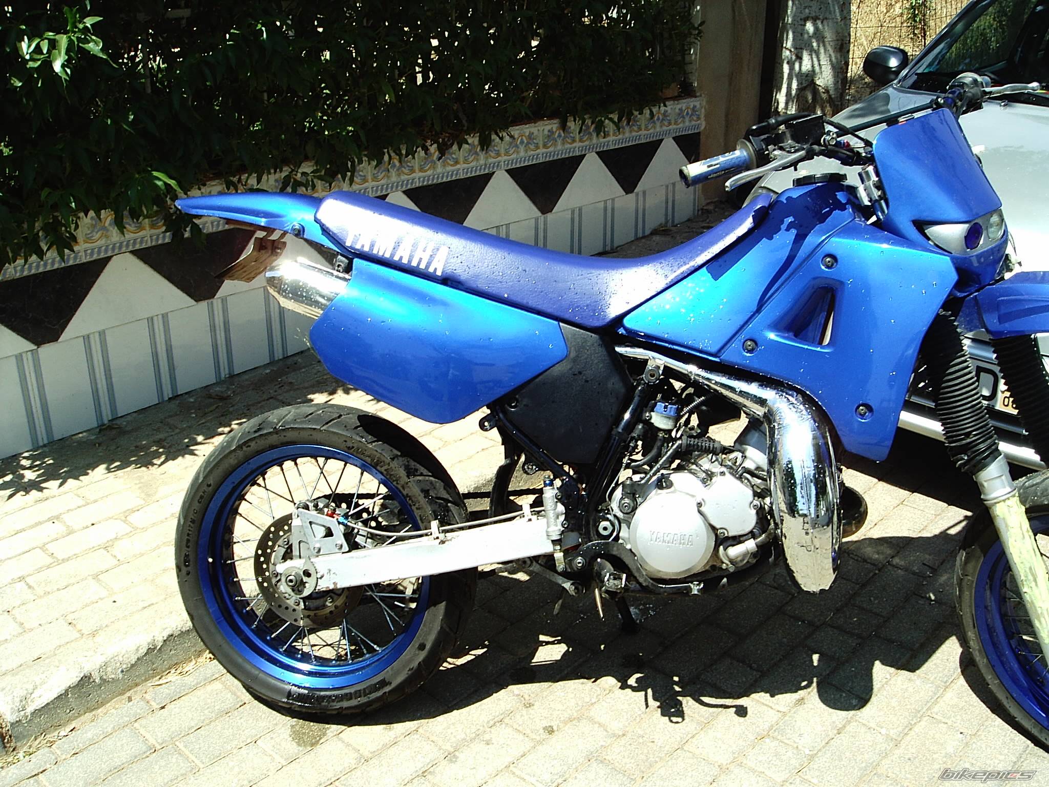 Photo 187405