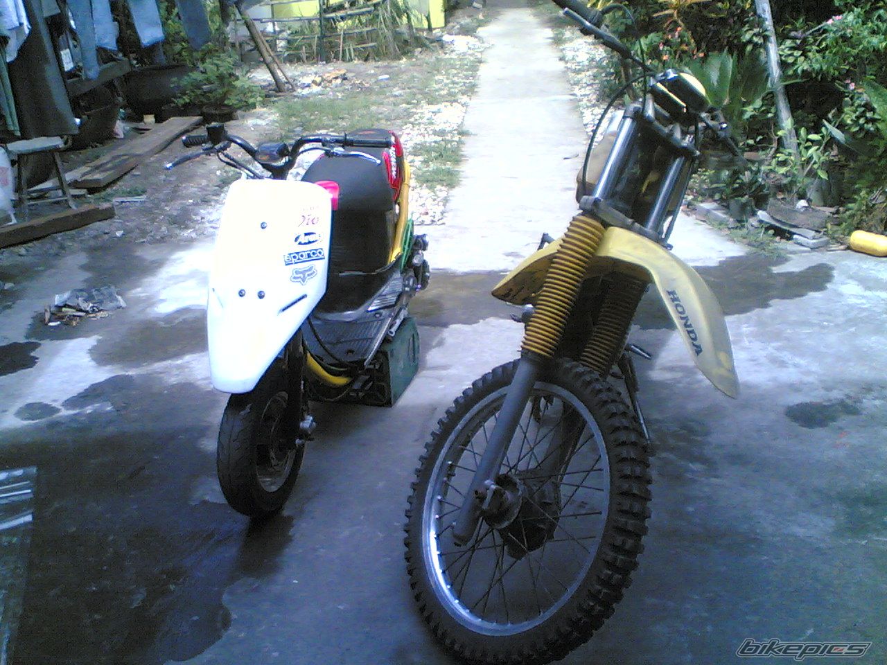 Photo 1874202