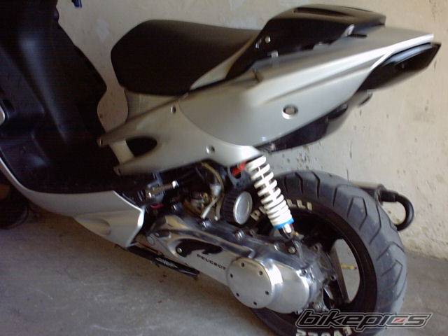 Photo 187426