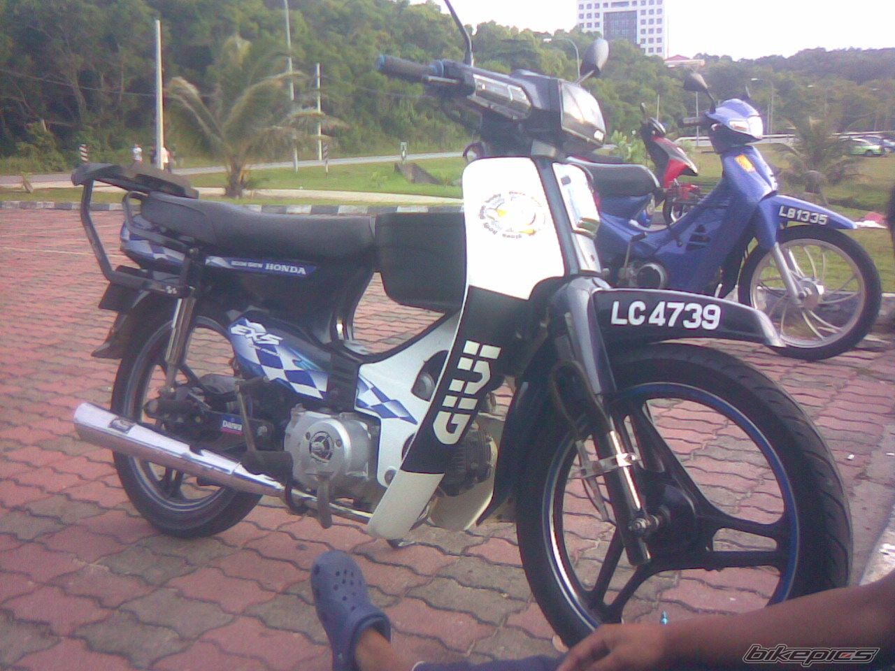 Photo 1874275