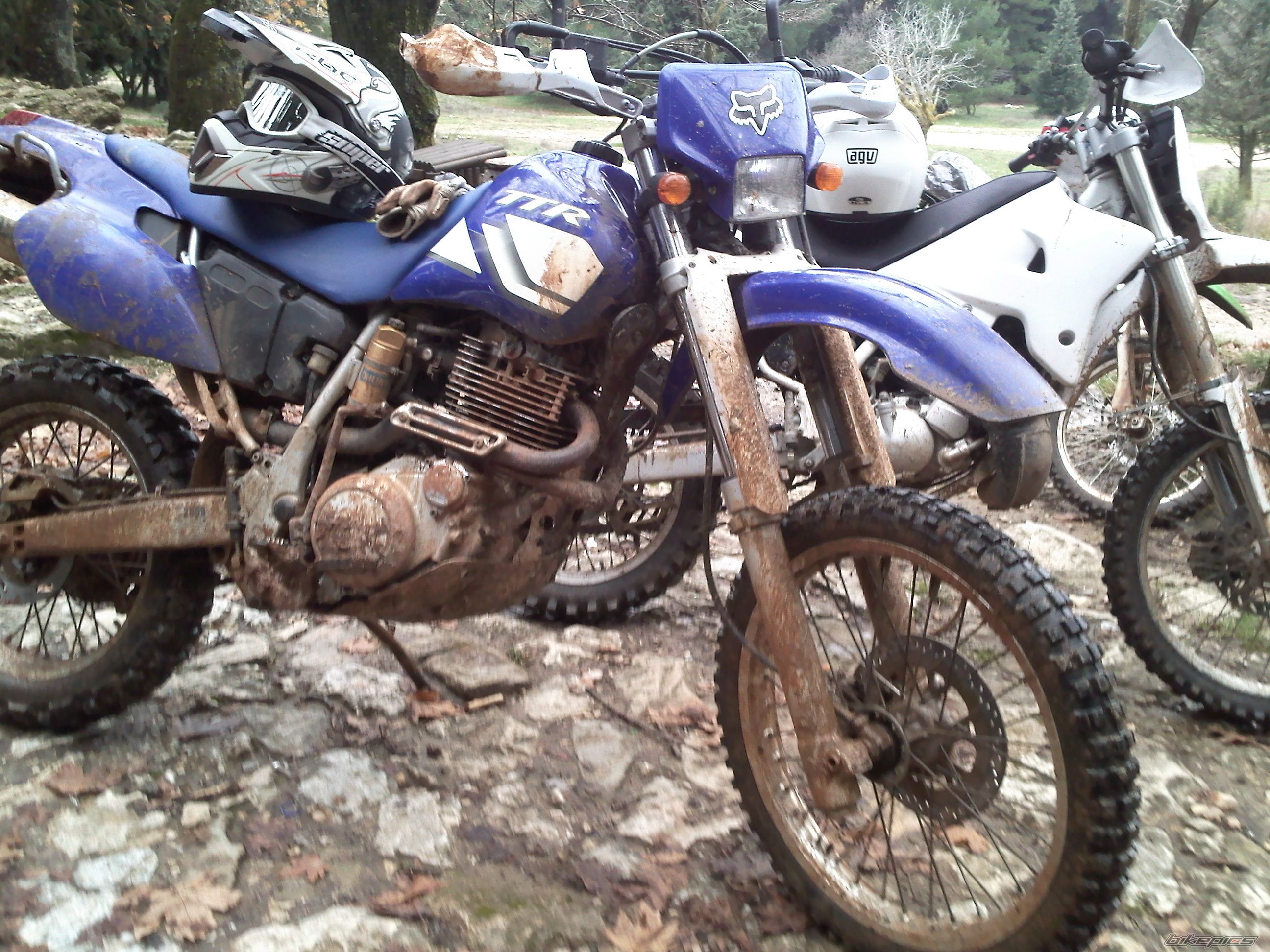 Photo 1874797