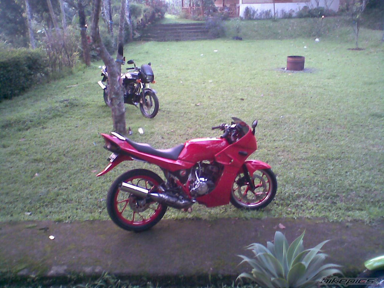 Bike Photo 1875015