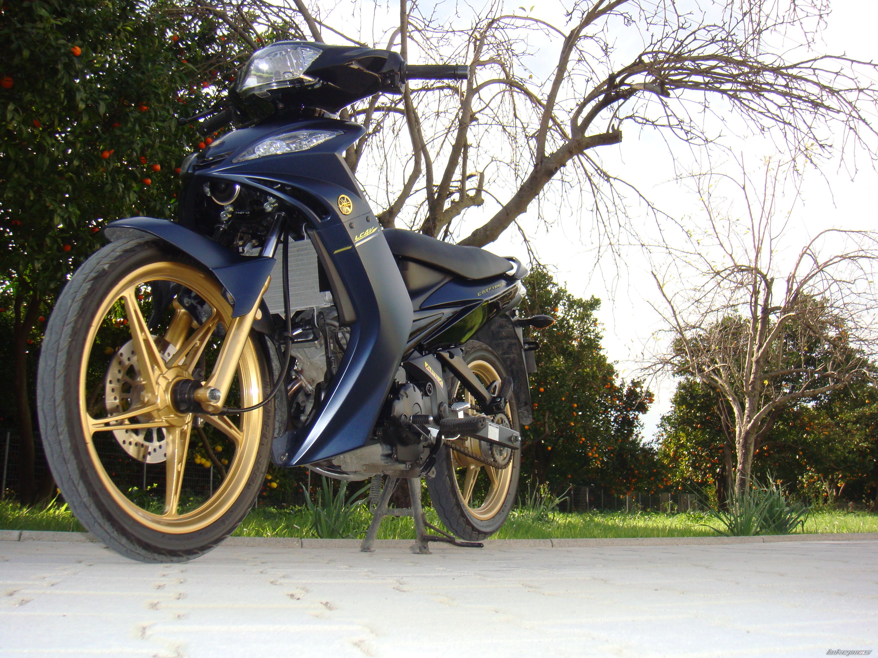 Bike Photo 1875309