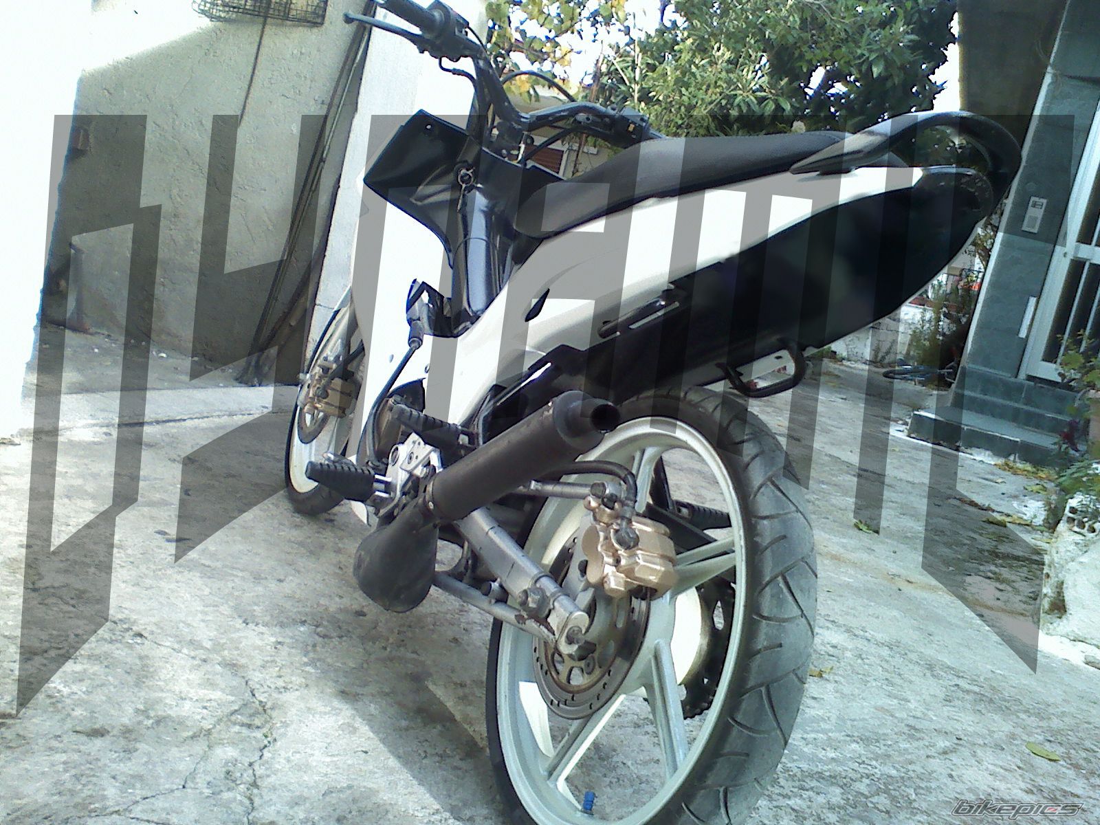 Photo 1875337