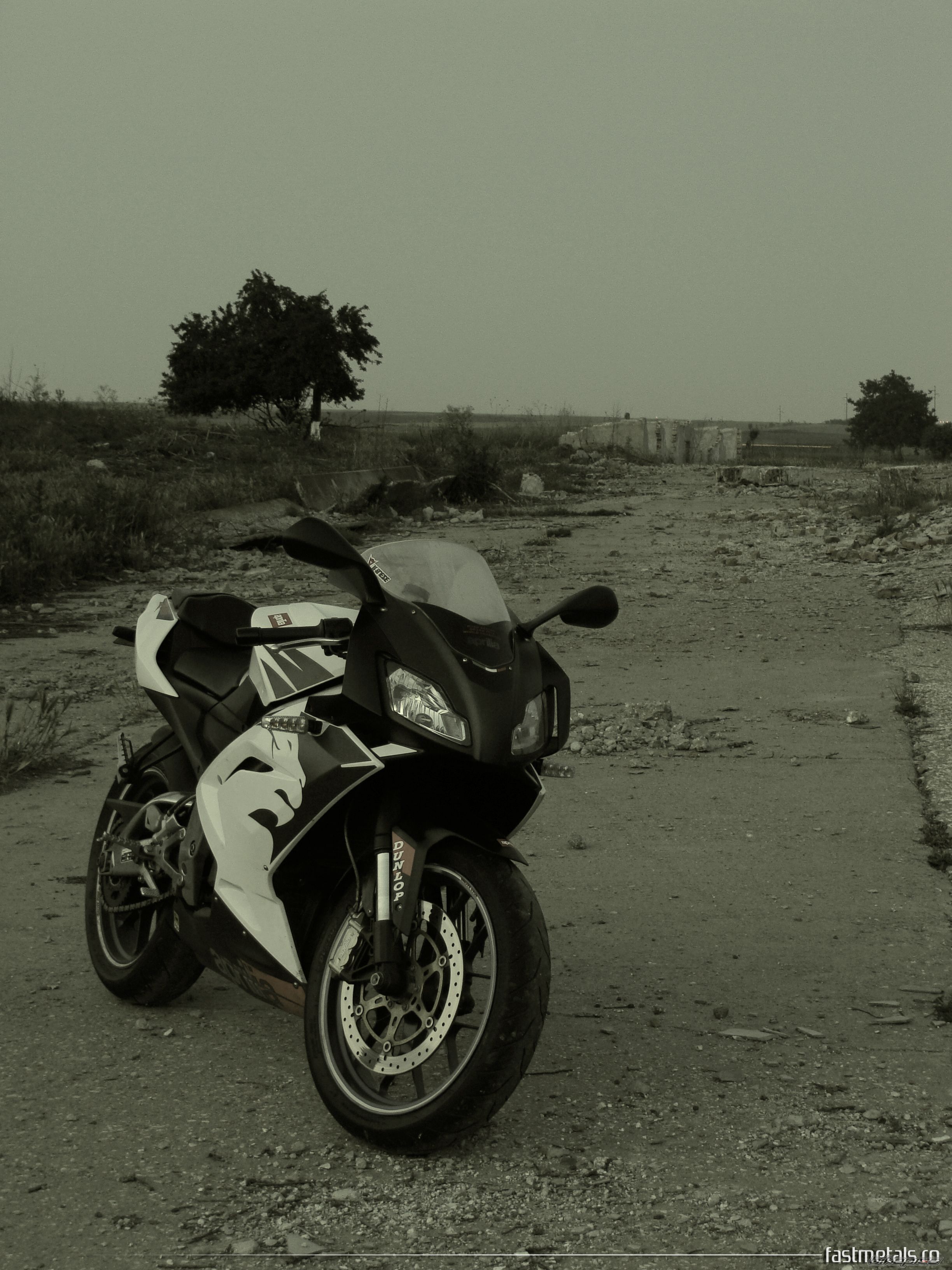 Photo 1875354