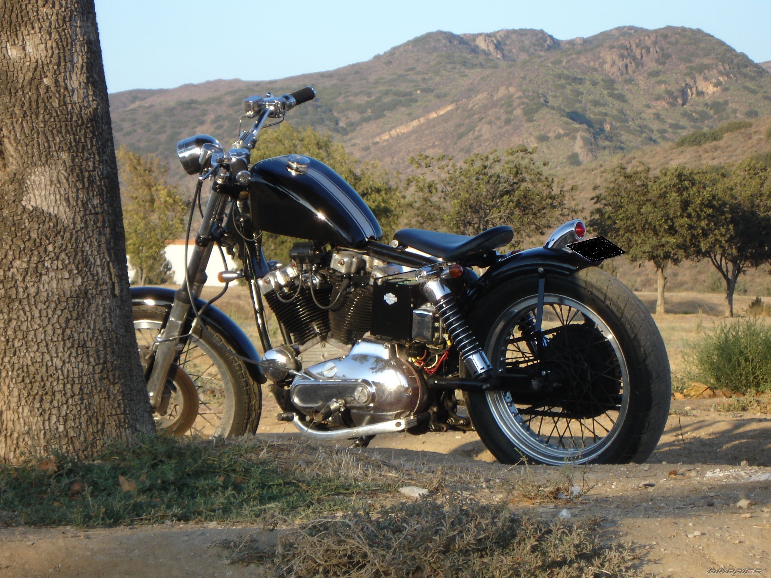 Bike Photo 1875383