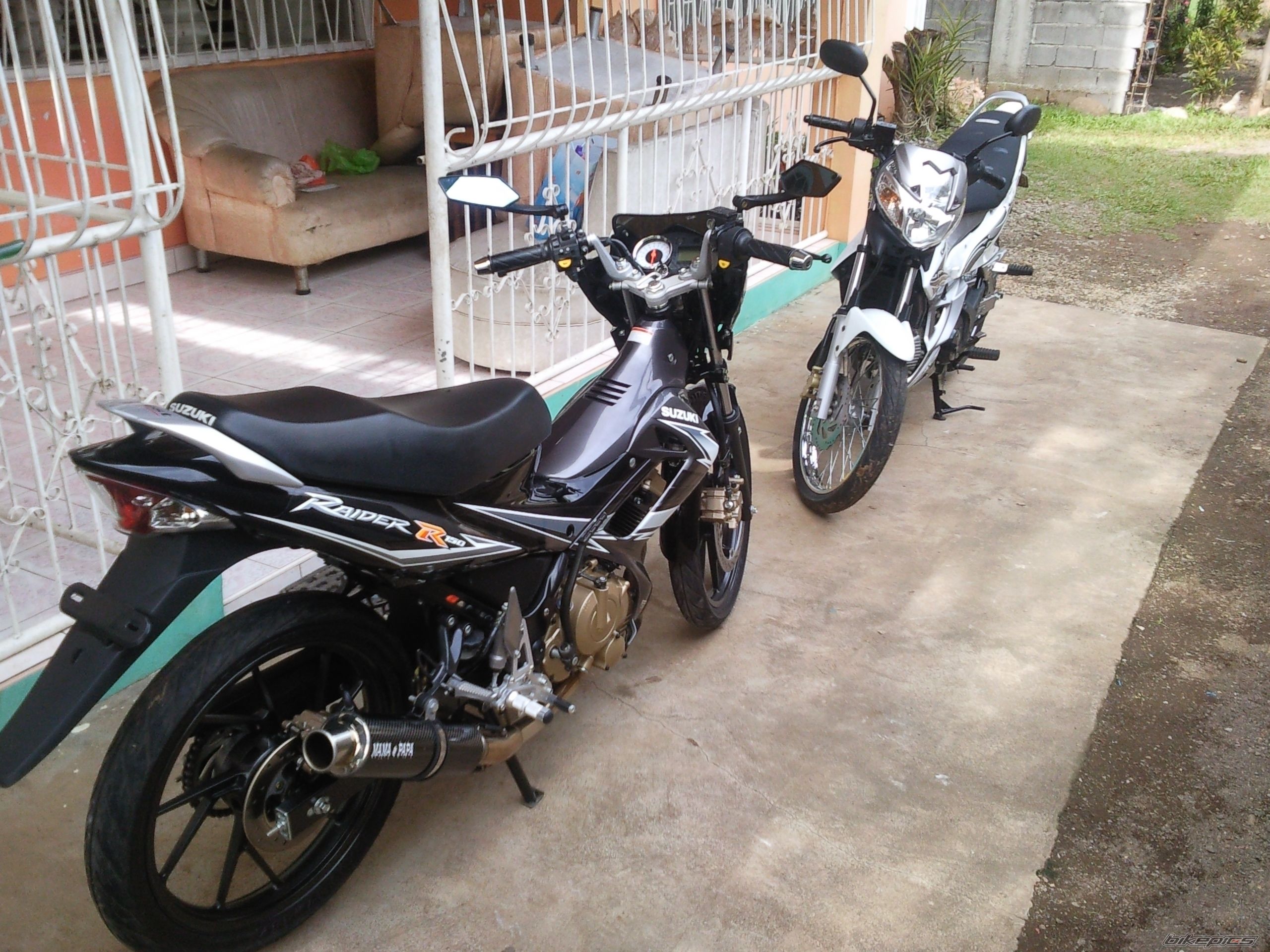 Photo 1875462