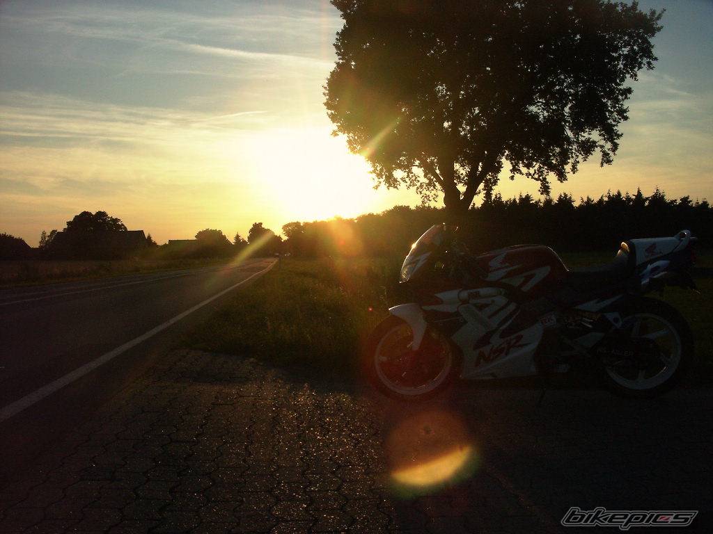 Photo 187550