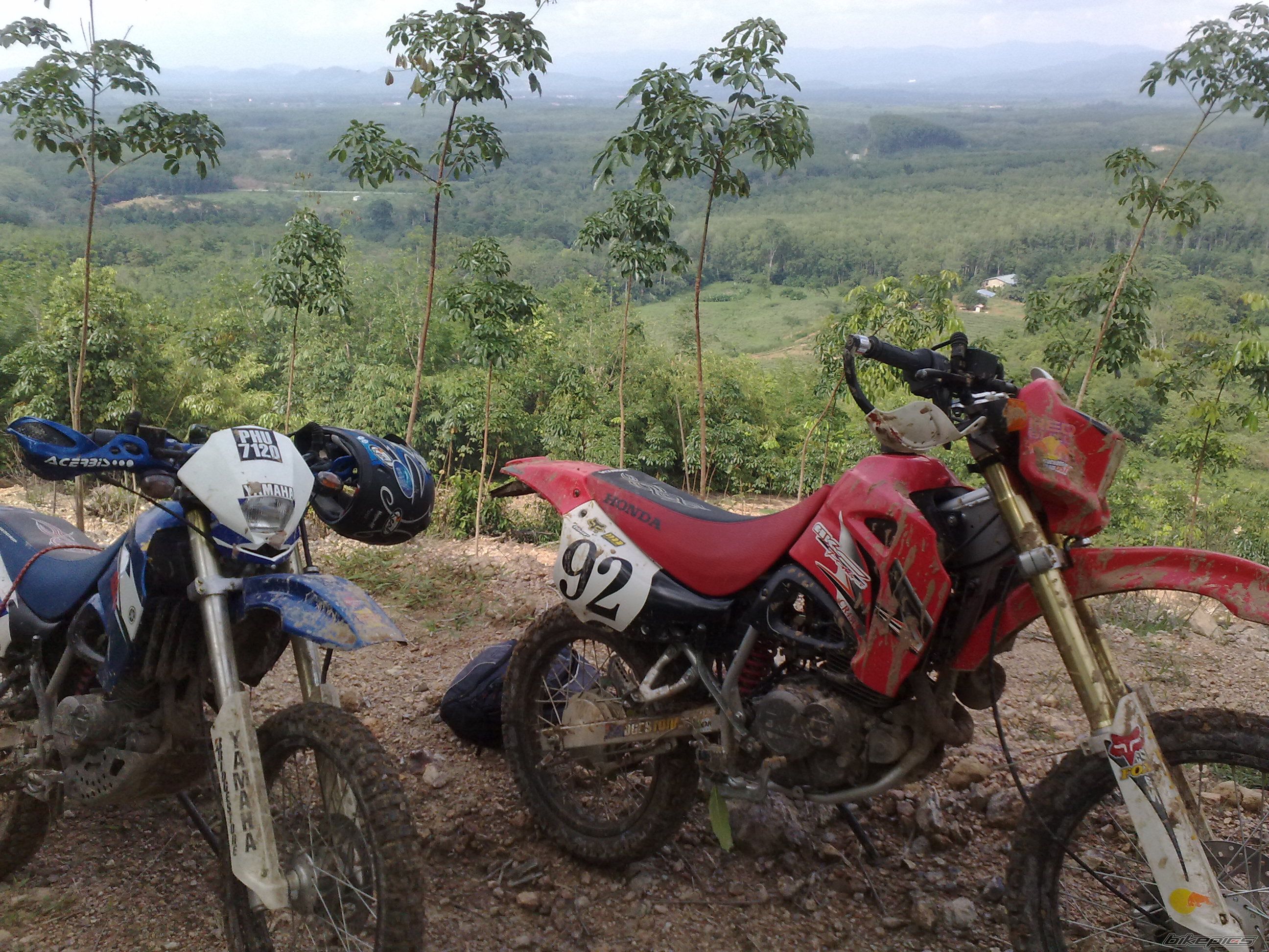 Bike Photo 1875532