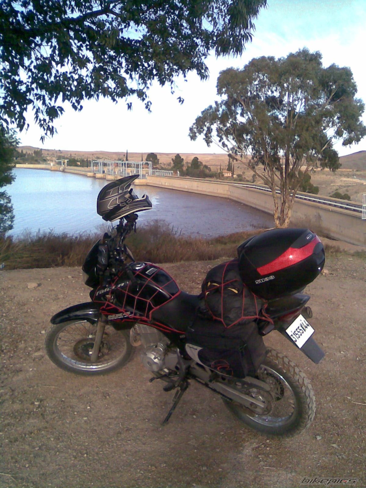 Photo 1875590