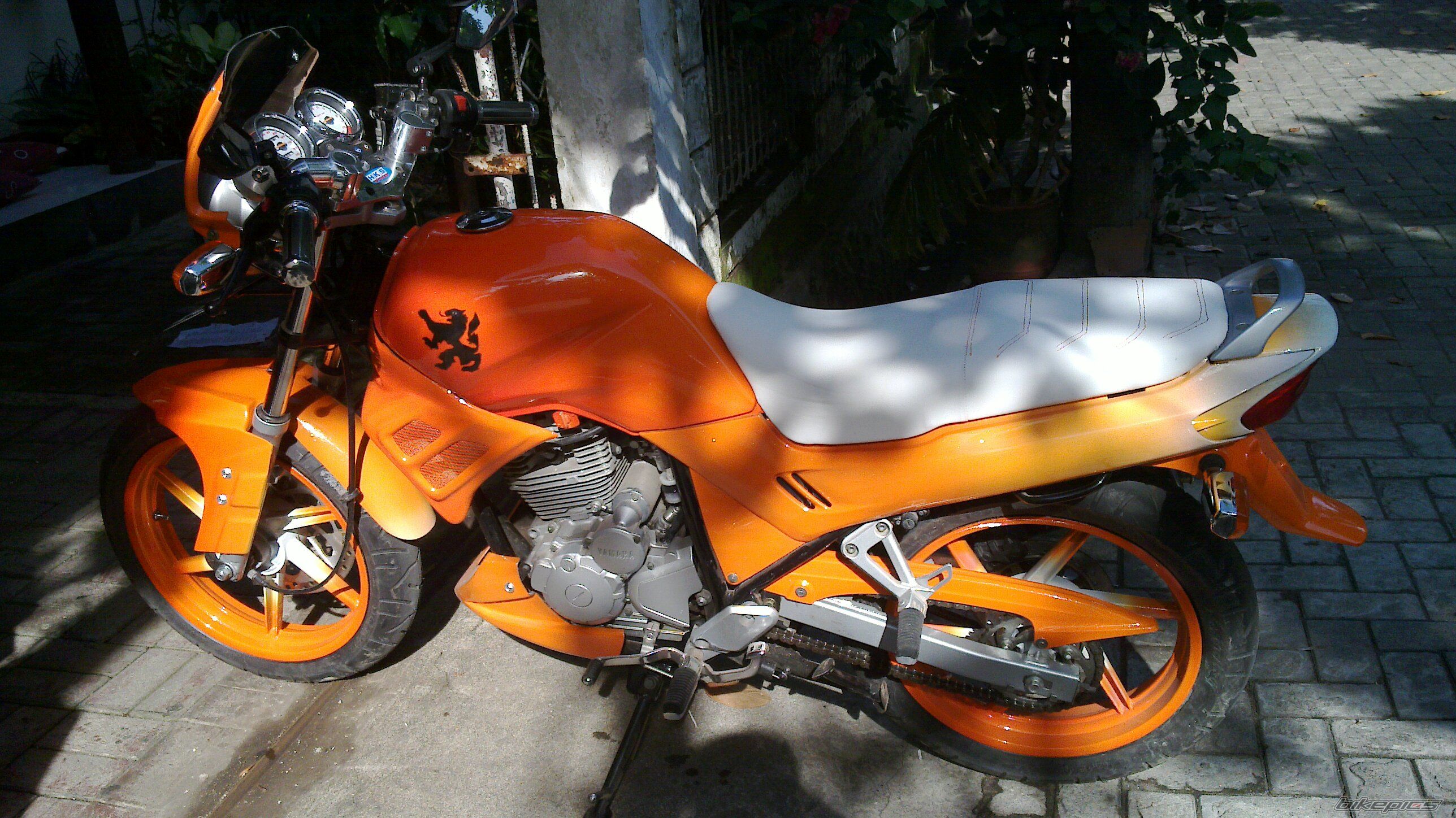 Bike Photo 1875673