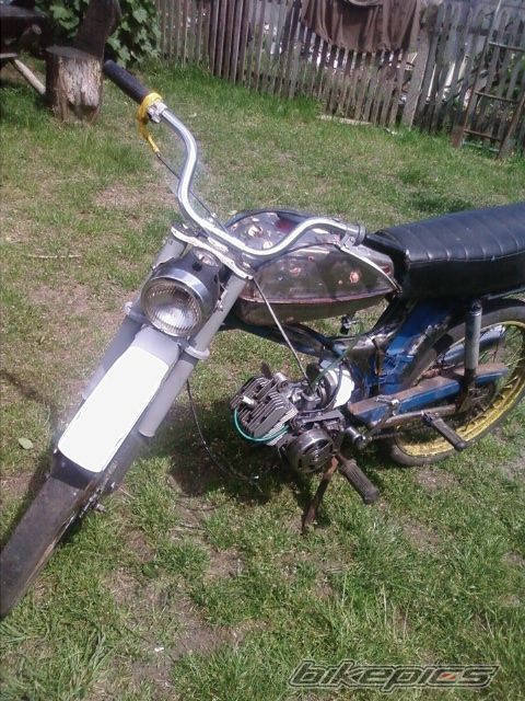 Photo 1875873