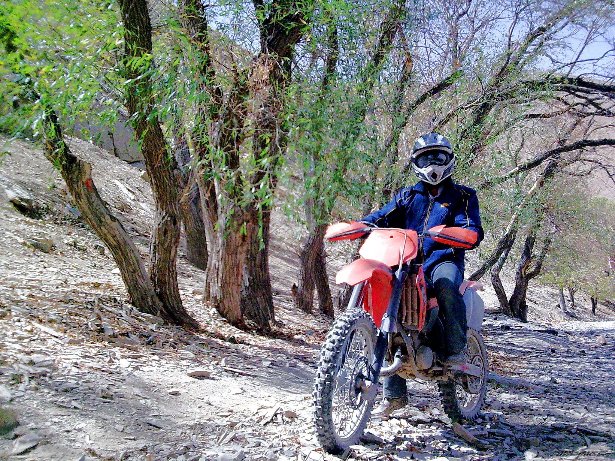 Bike Photo 1875940