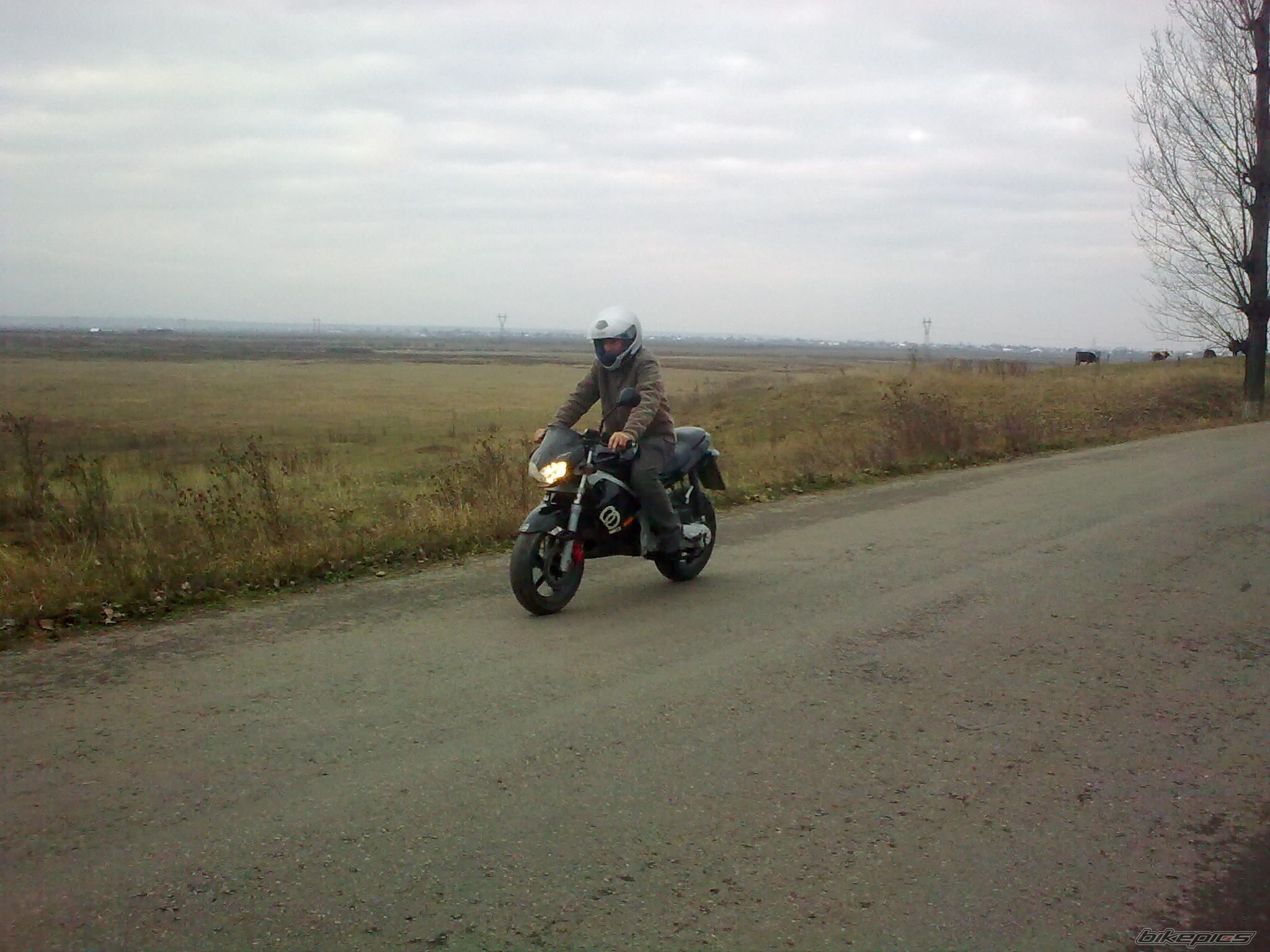 Photo 1876544
