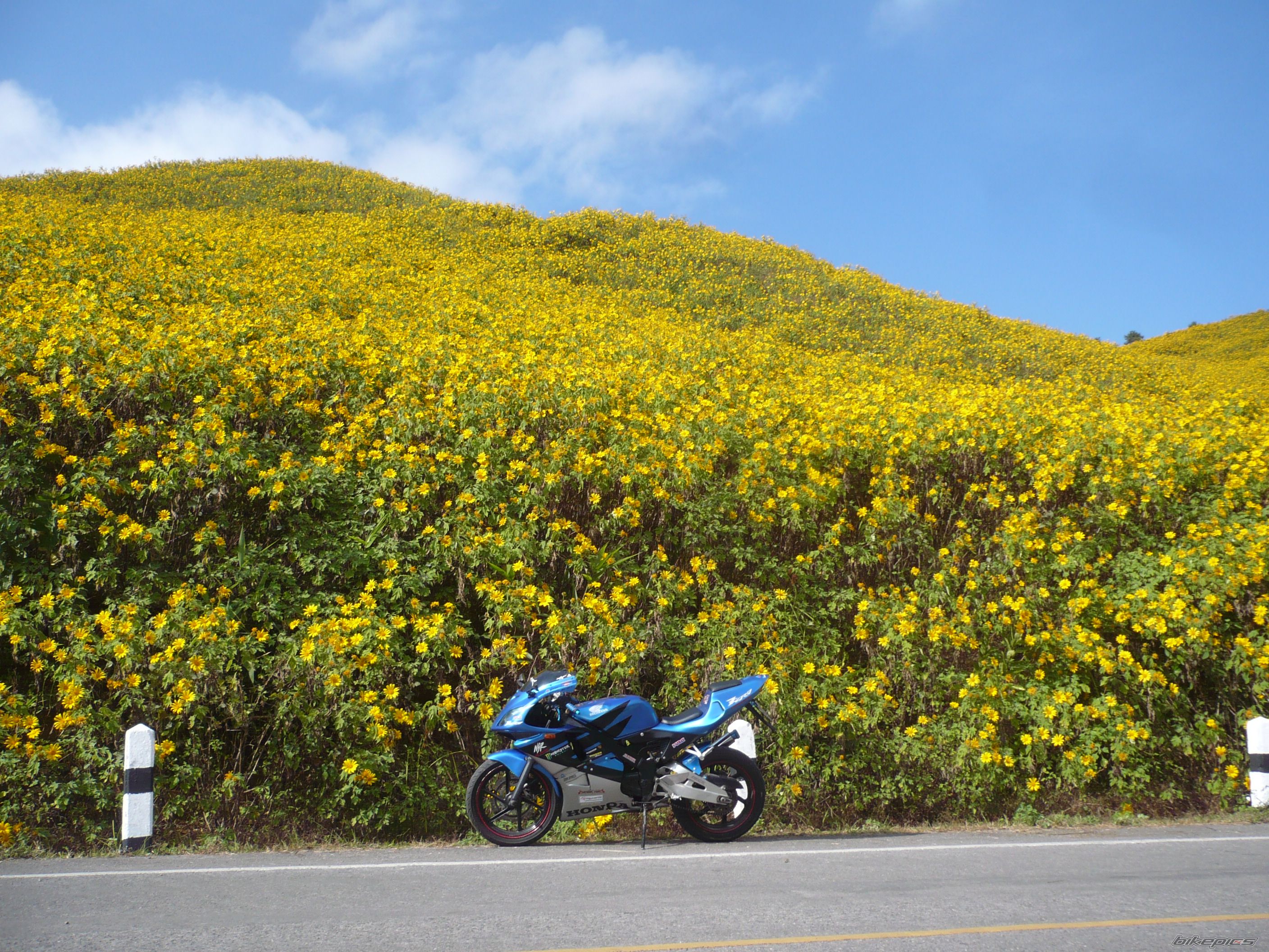 Bike Photo 1876687