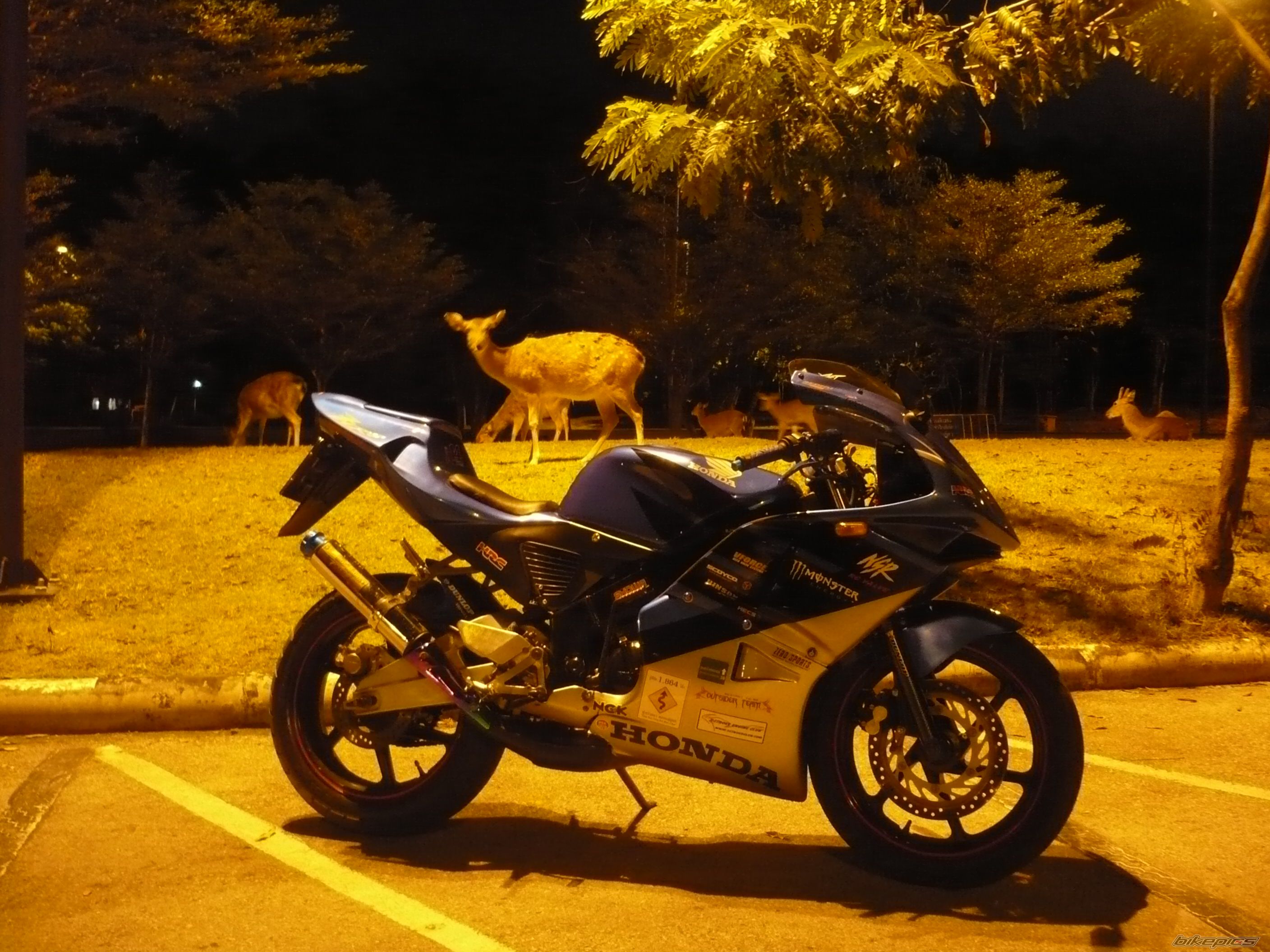 Photo 1876723