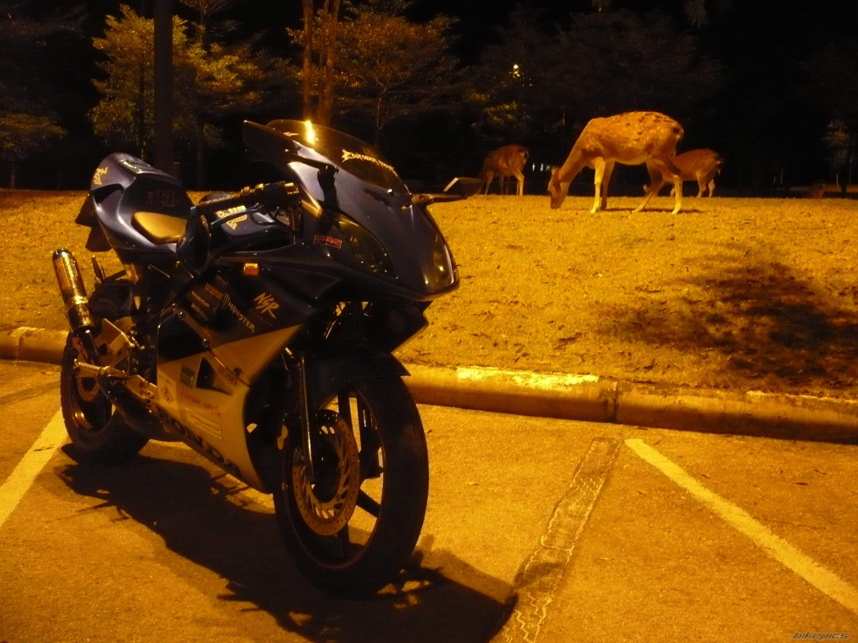 Photo 1876724
