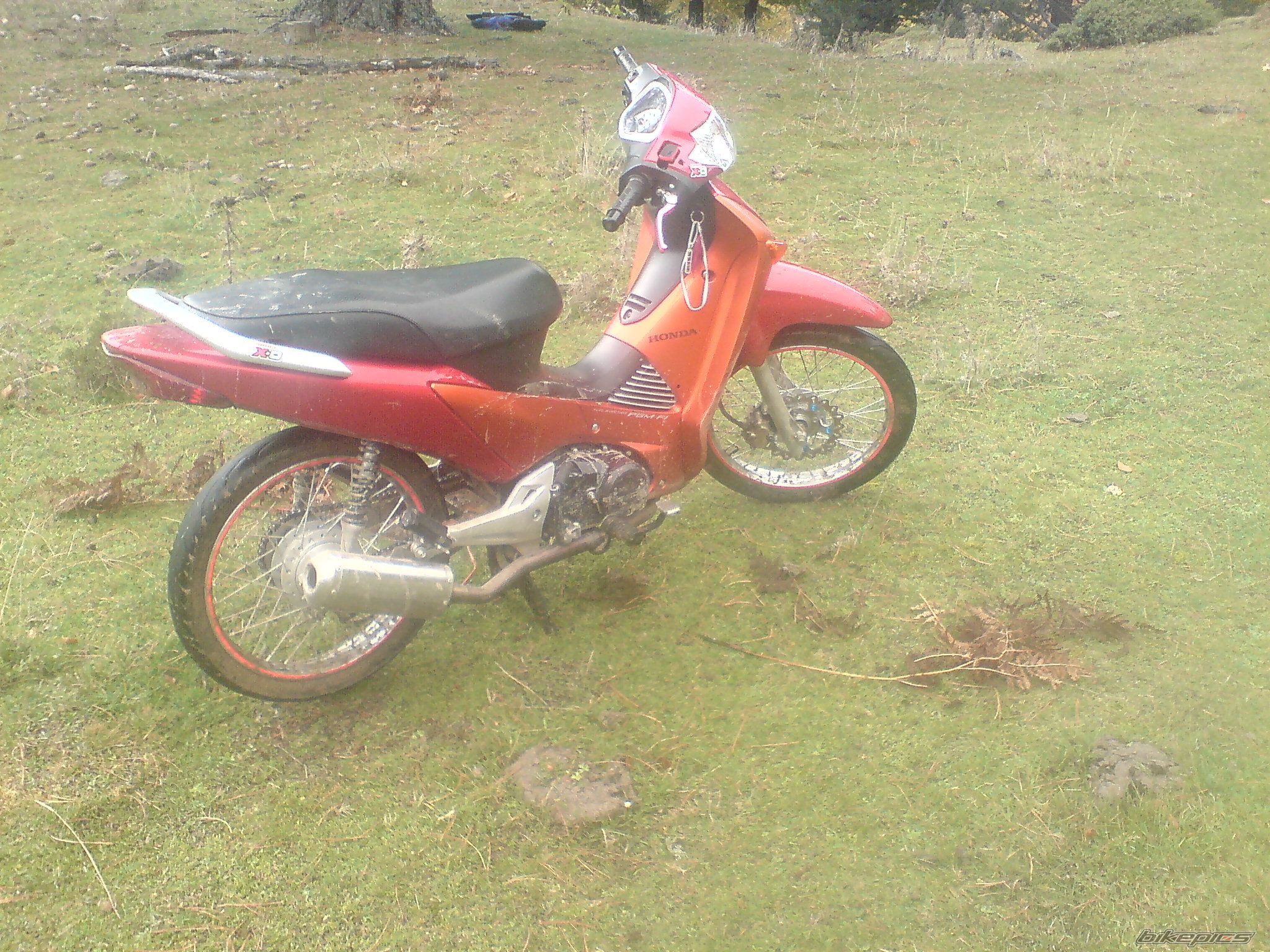 Photo 1876803