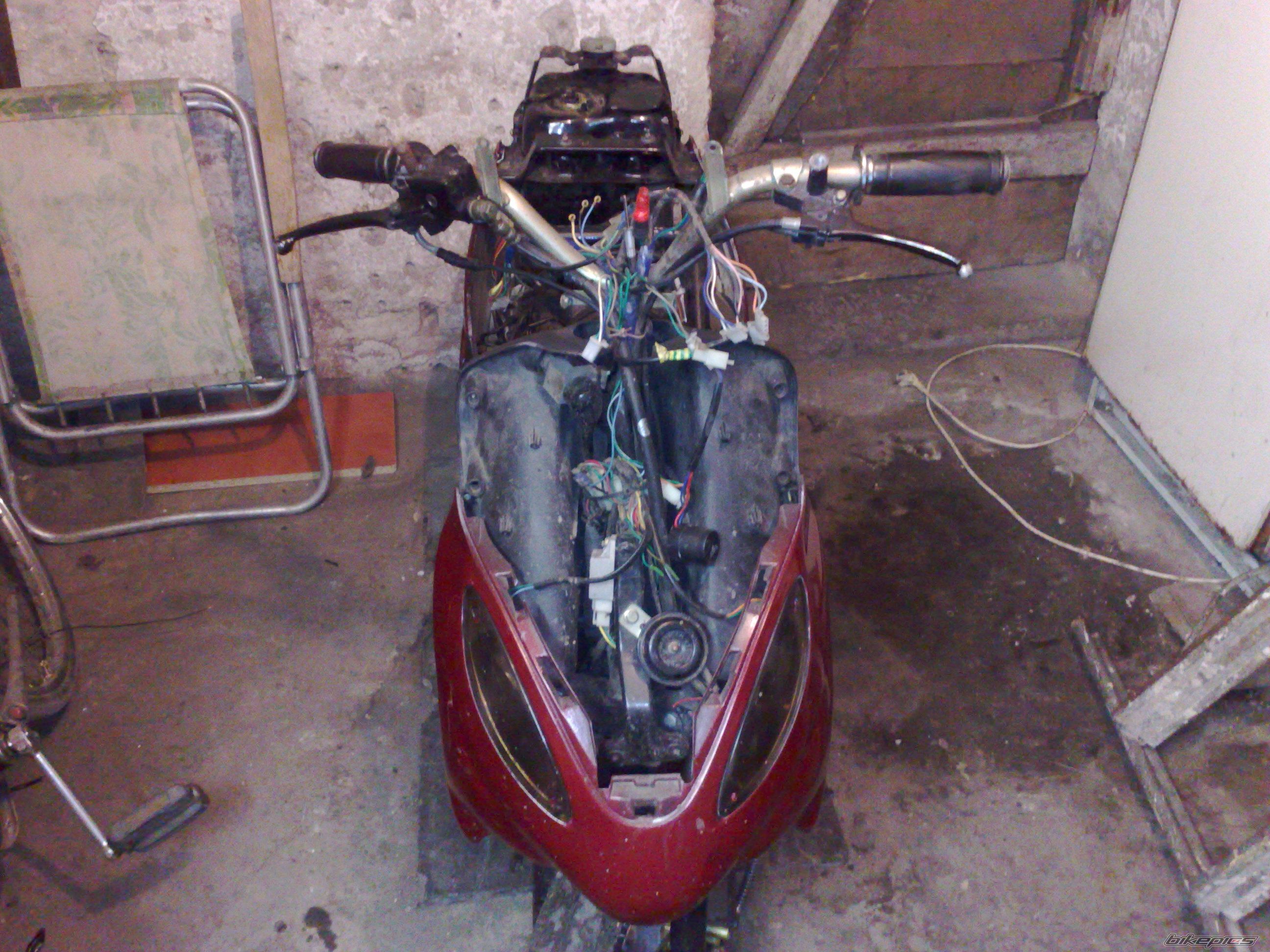 Photo 1877055
