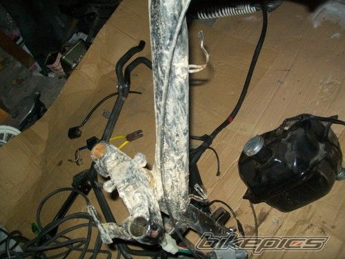 Photo 1877111