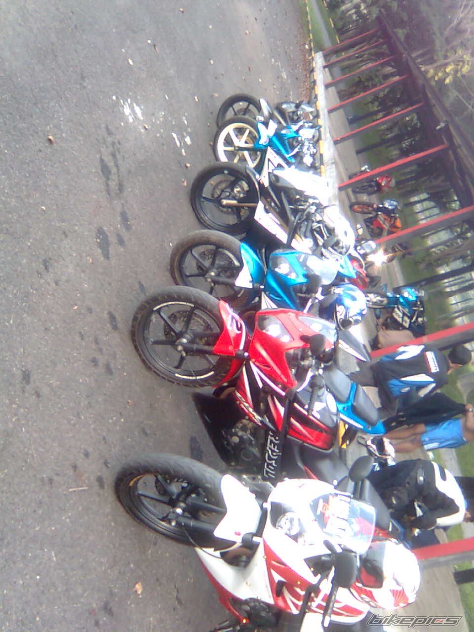 Photo 1877235