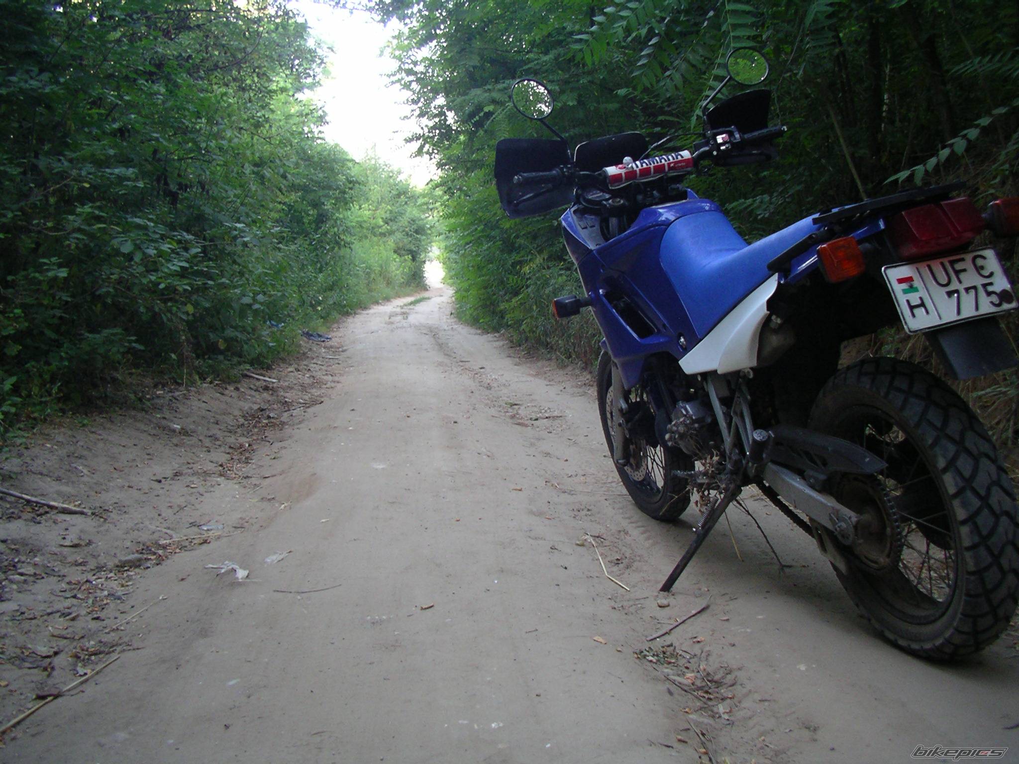 Bike Photo 187736