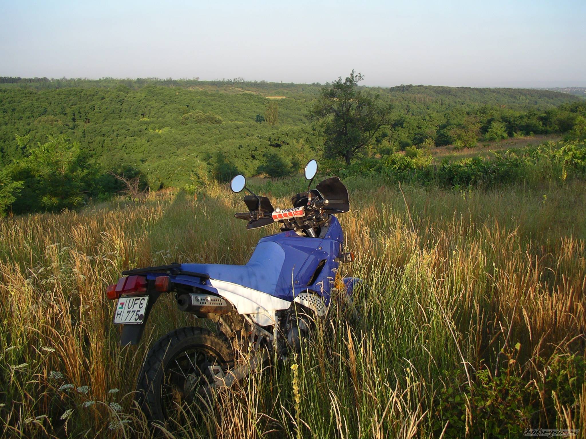 Bike Photo 187737