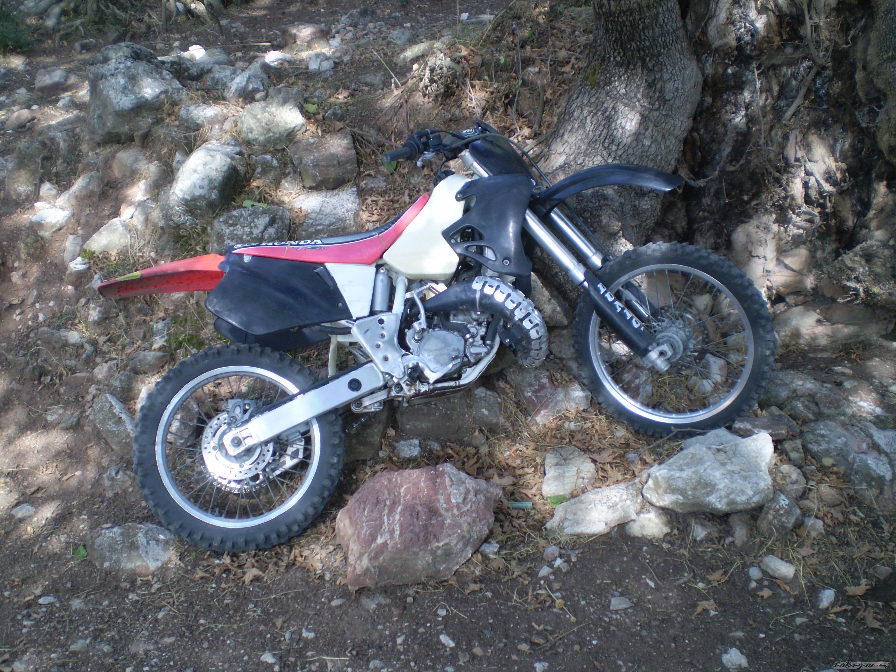 Photo 1877383