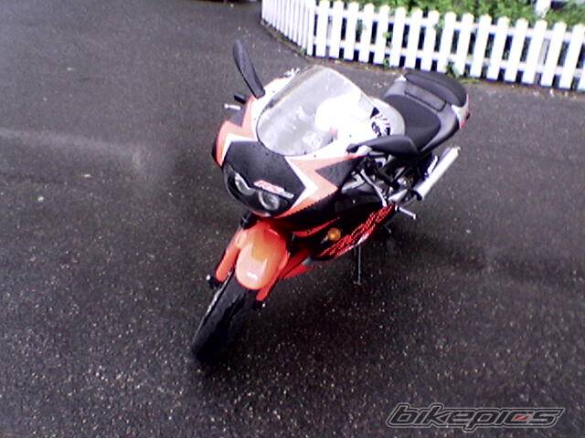 Photo 187768