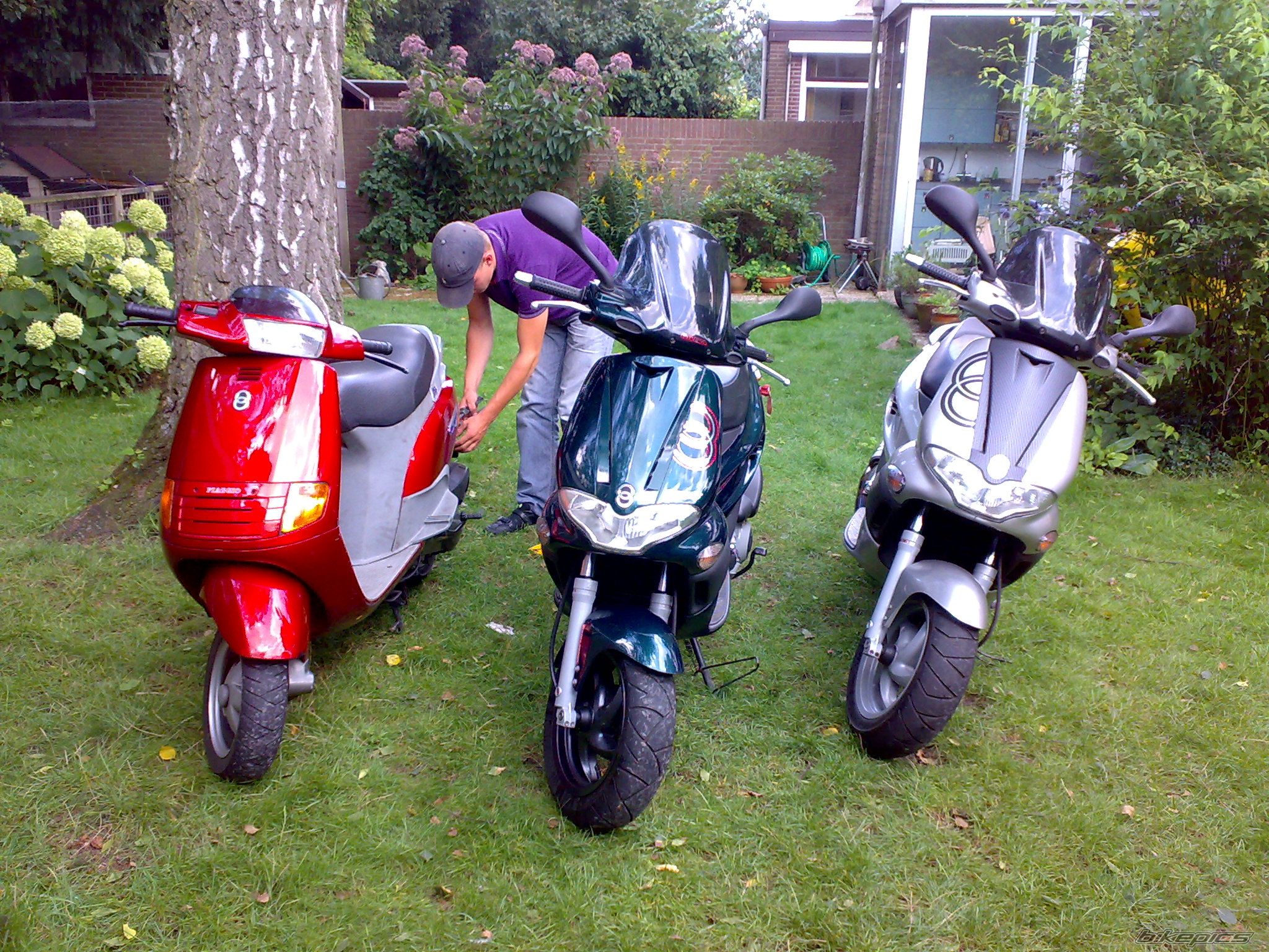 Photo 1877978